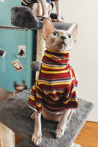 Cat Clothes for Sphinx Clothes Hairless Cat Clothes Striped Clothing Warm Knitted Sweater Pet Clothes Cat Supplier XS to XL