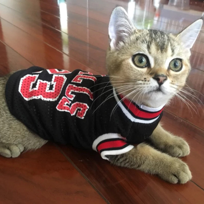 Cat Costume Pet Cat Kitten Clothes Spring T-shirt Soft Pet Clothing Summer Shirt Casual Vests for Small Cats Pet Costume