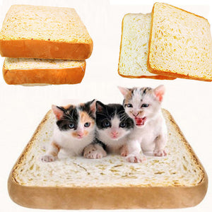 Creative Toast Bread Cat Pillow Dog Pet Cushion Supplies Bed Mat Soft Cushion Plush Seat Cushion 40x40cm